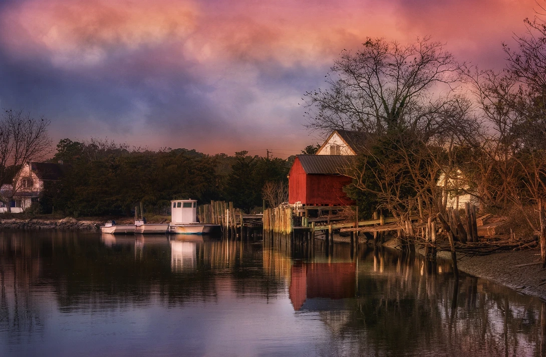 View Warm Autumn by Carla Petrillo