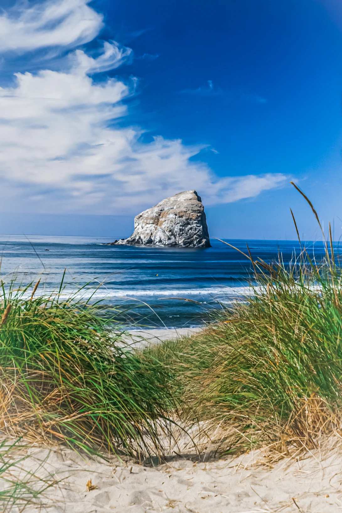 View Haystack Rock by Alison Pascal