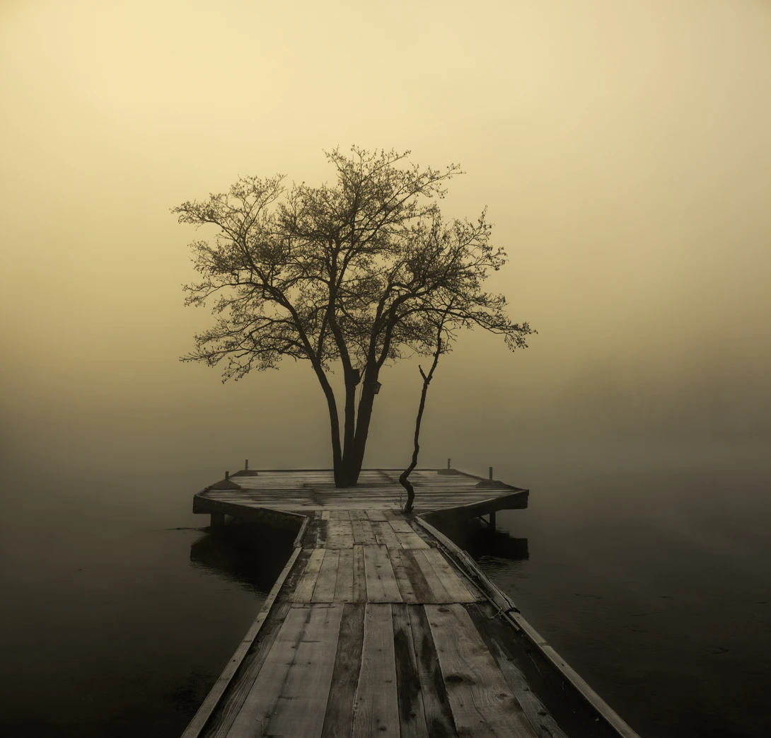 View Misty Dream by Ammar Selmanović