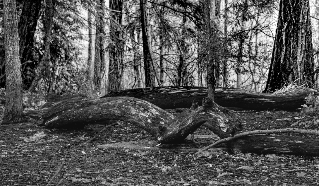 View 9923be5bf3a29fdb74142534d3f37b38.jpg by Don L