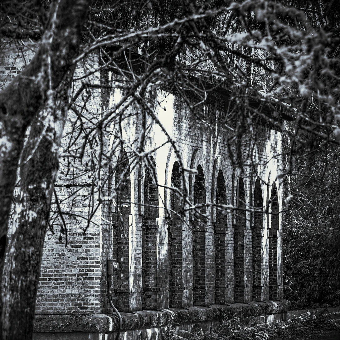 View 51bd6446f4c27bfb9e468dc93c87f735.jpg by Don L