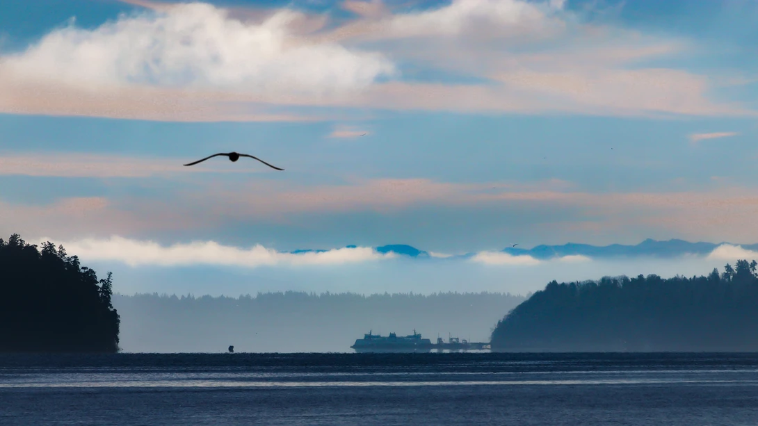 View 76b11cd27d27423956d749d06a426161.jpg by Don L