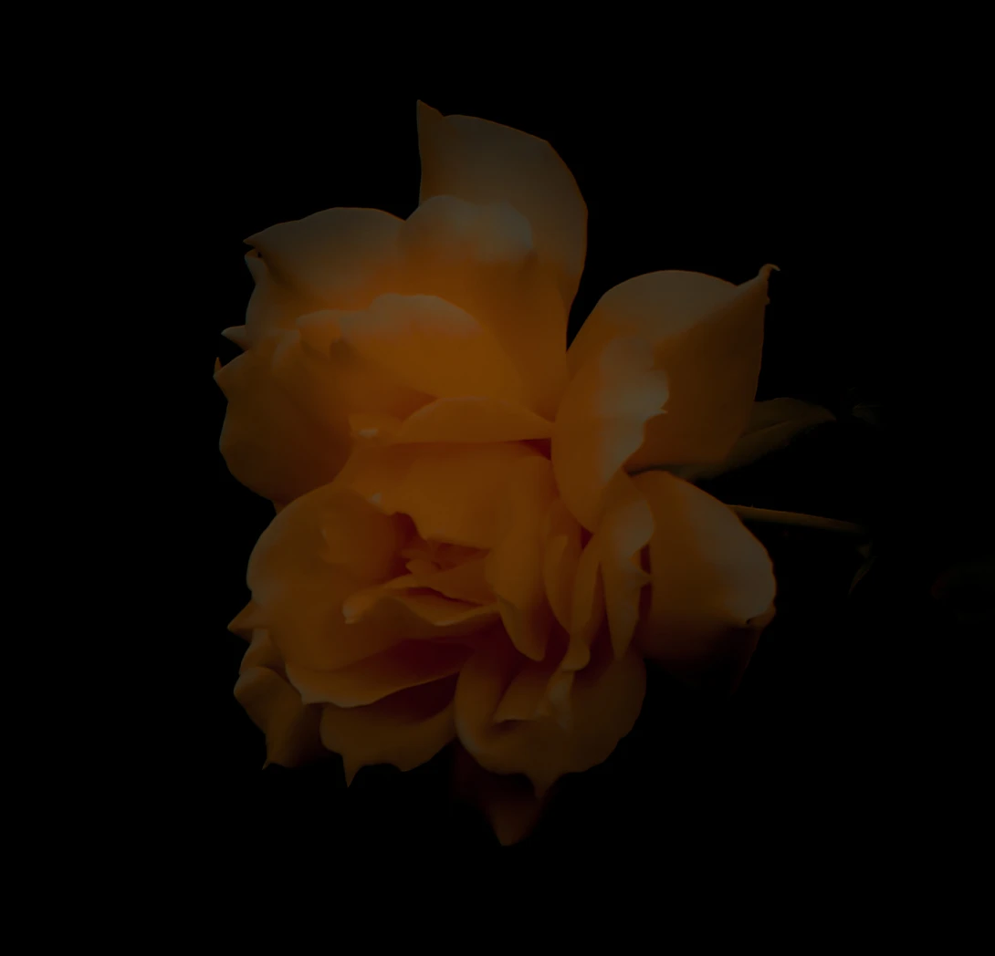 View 69f269ea8ca43ddb78e367e7d7c26f74.jpg by Don L