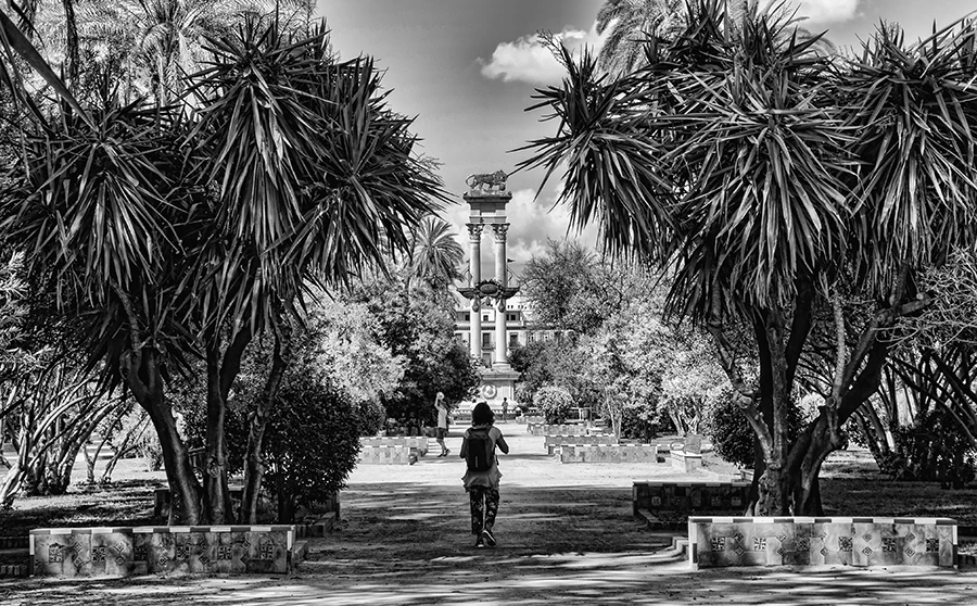 View A Sevillian Park by Rod Collett