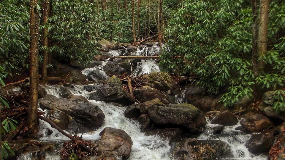View Down Stream by Chris Chaffin