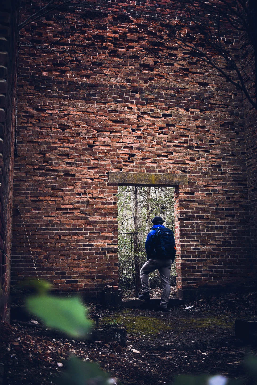 View The Doorway to Wilderness by Chris Chaffin
