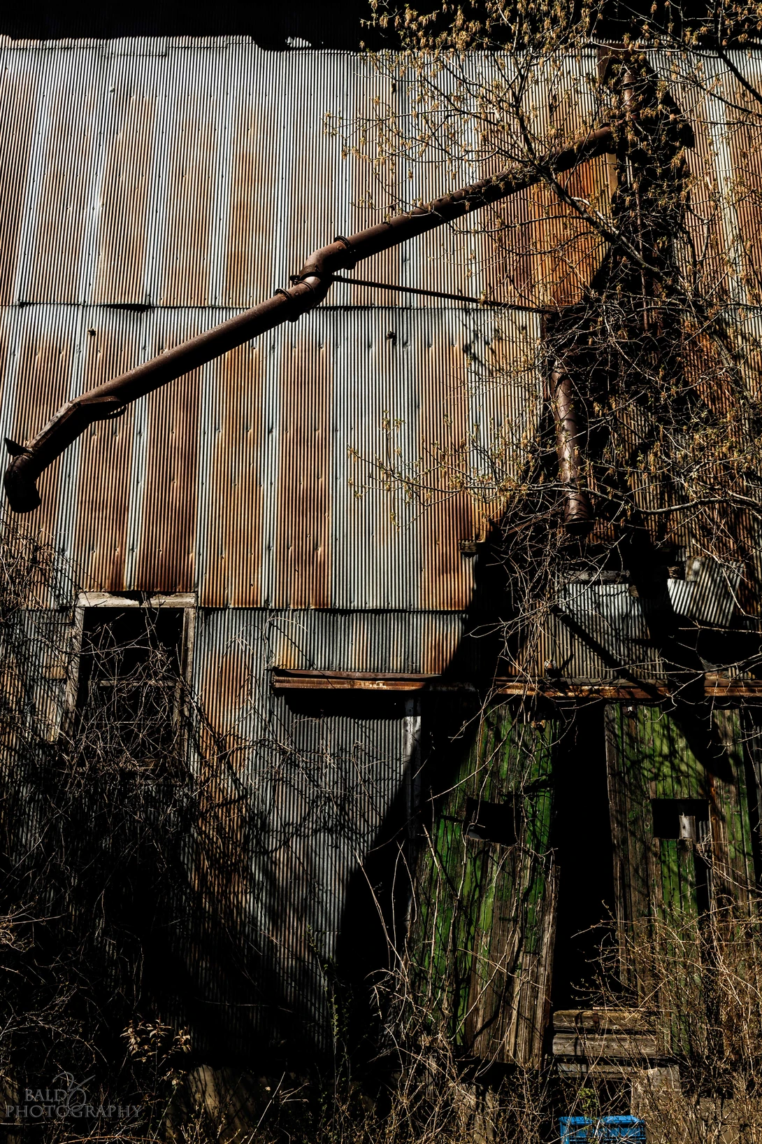View Old Grain Elevator - 4 by Robert Zilch