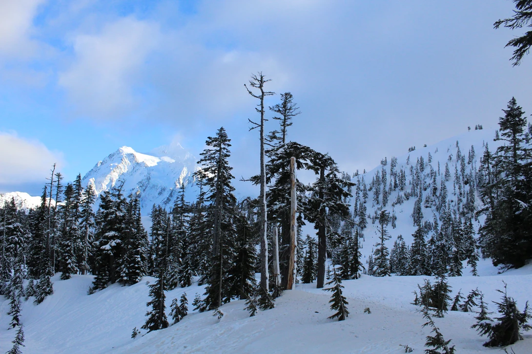 View Mt. Baker by McKailen Haddock