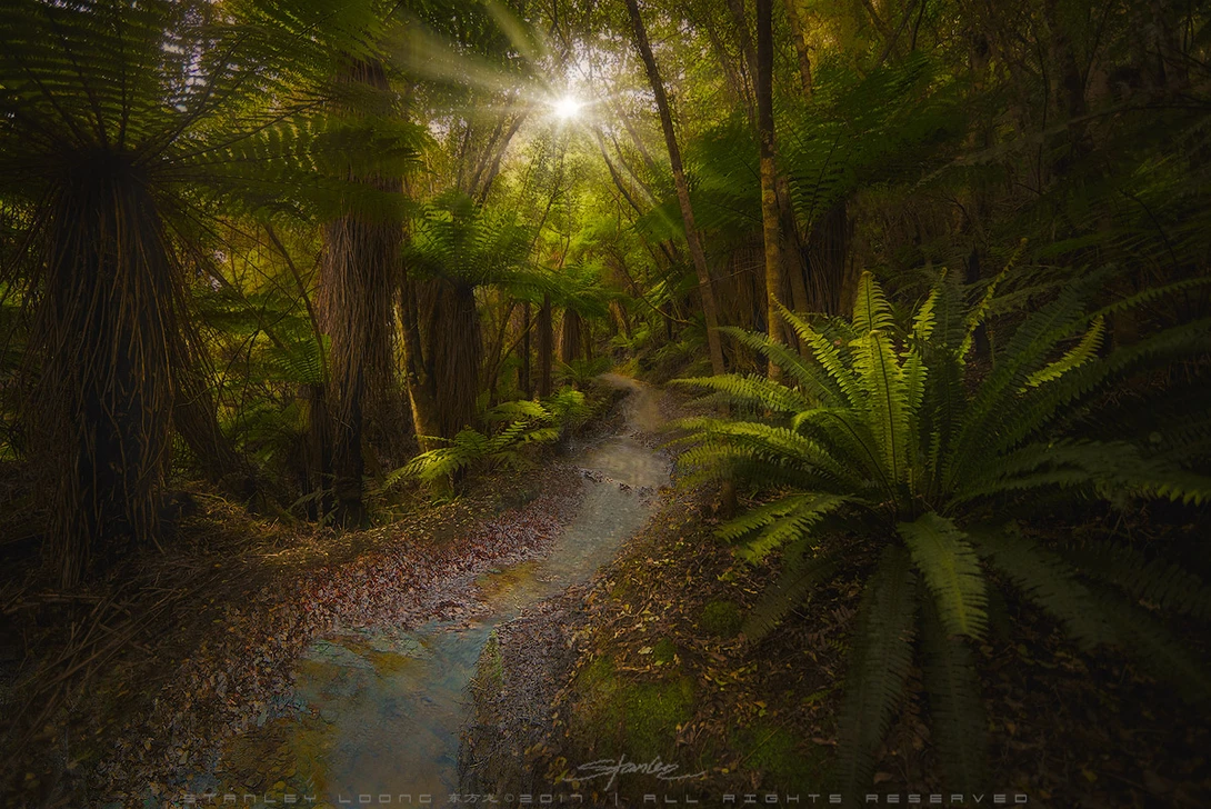 View The Wizard of Oz by Stanley Loong