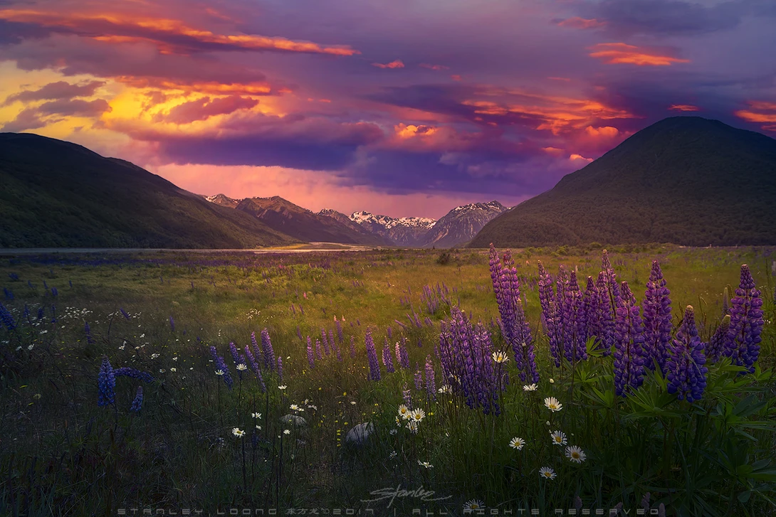 View Last moment of Sun's Warmth by Stanley Loong