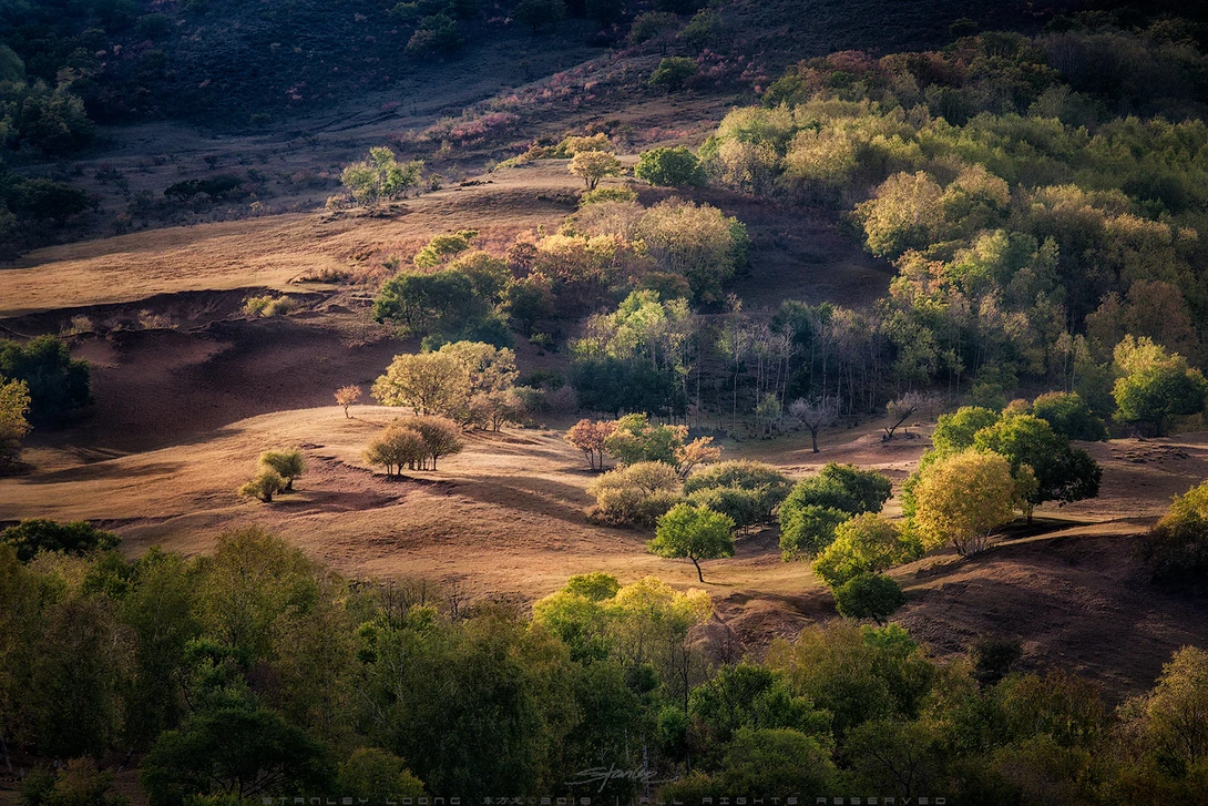 View The Beauty Of The Autumn by Stanley Loong
