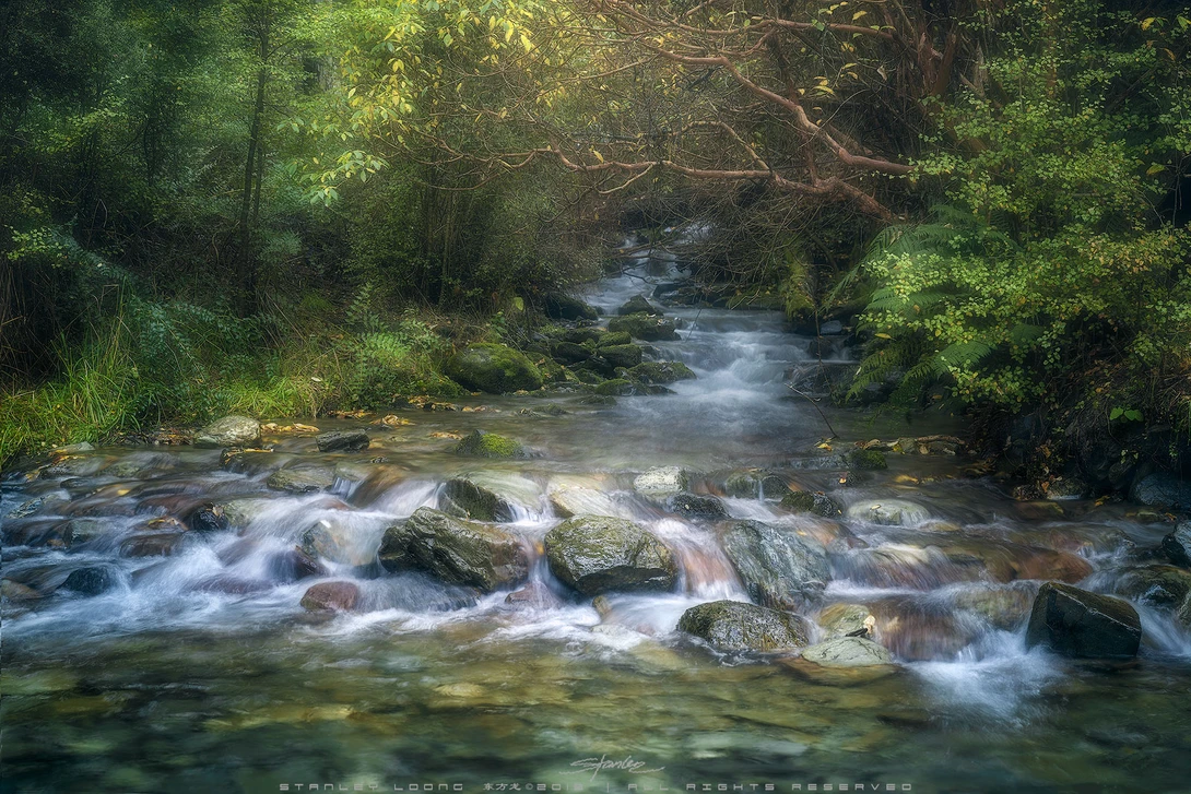 View Shallow Creek by Stanley Loong
