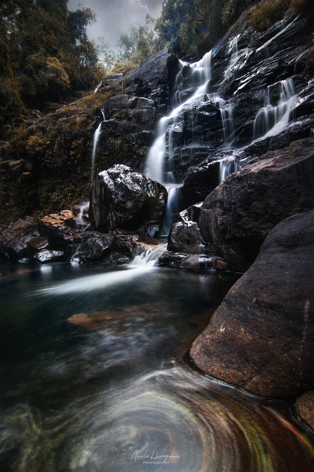 View 488d3c2aa1ed8bf0bc95226883b4e7ee.jpg by Amila Hewagama