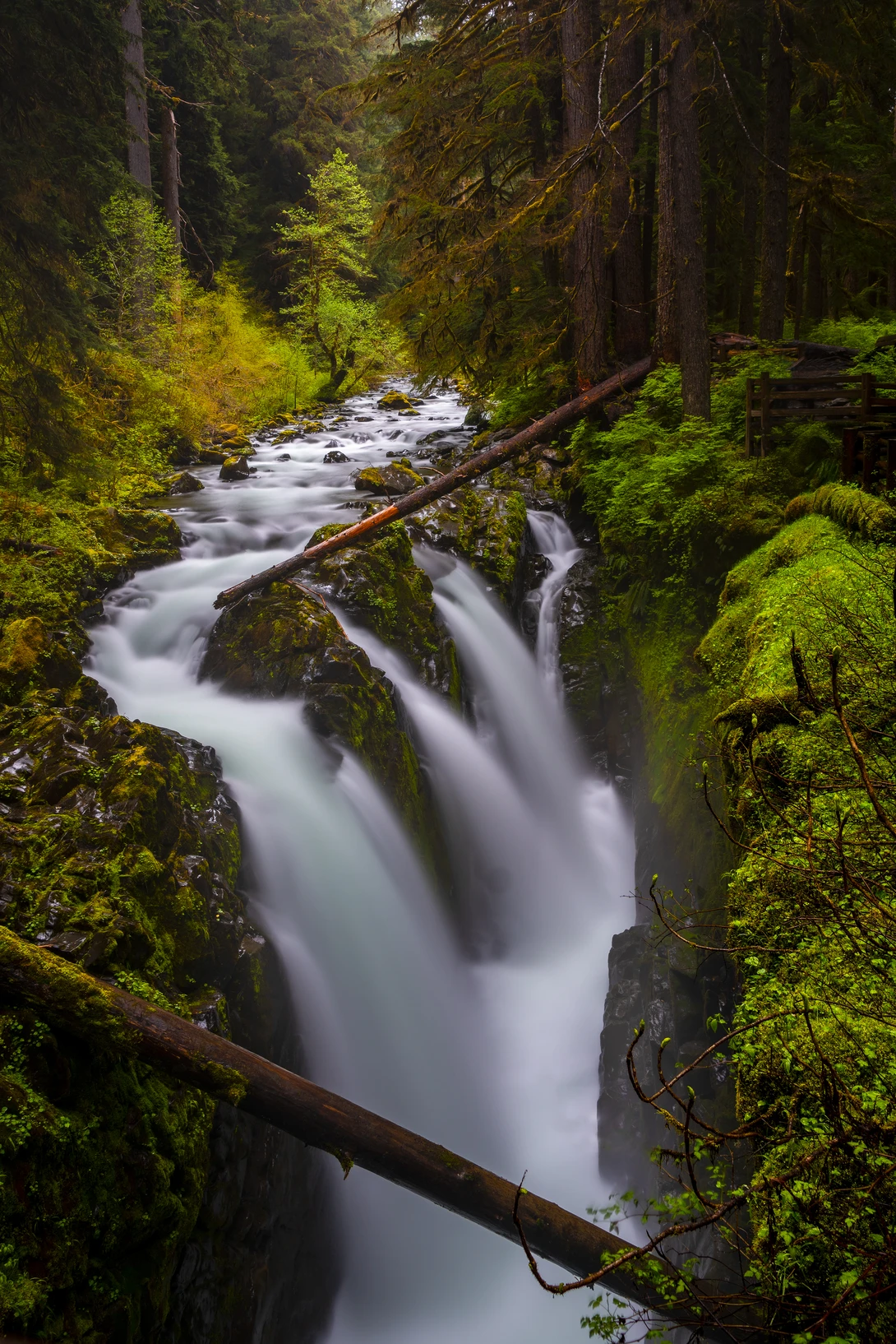 View Deafening Peace & Tranquility by Gary Horsfall