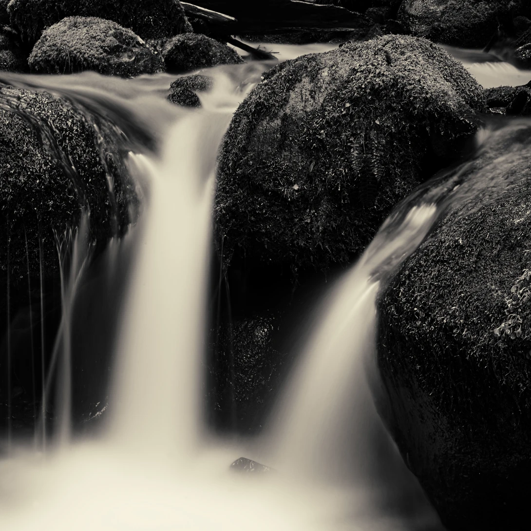 View Whitehead Creek #10 by Gary Horsfall