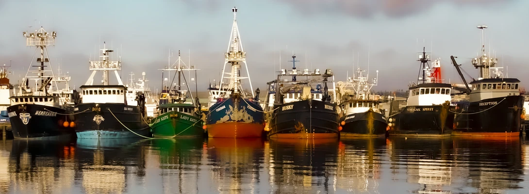 View Rafted Up by Gary Horsfall