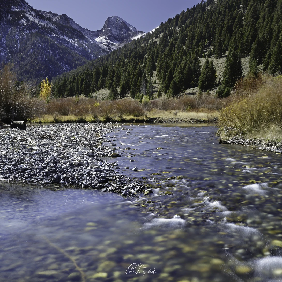 View Fall in the Pioneers by Peter Dyndiuk