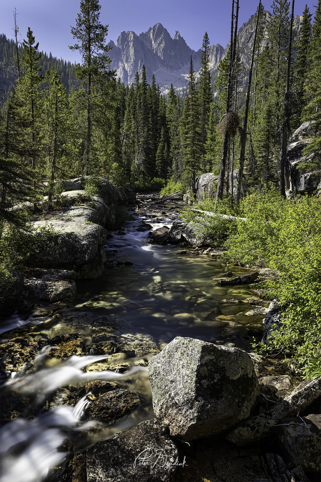 View b4dac840f8c02fd935ec91a0ec13ee6b.jpg by Peter Dyndiuk