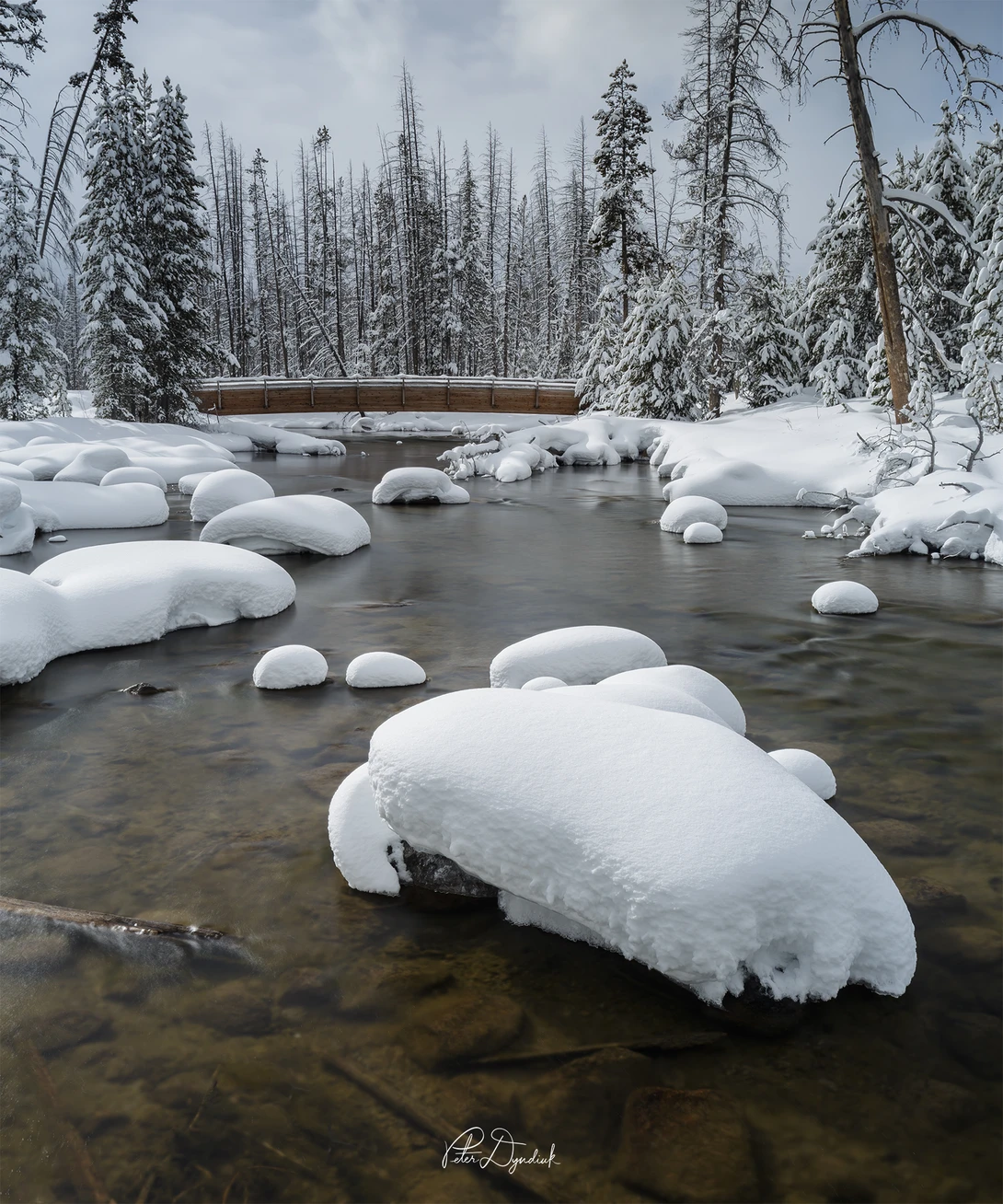 View Redfish Creek by Peter Dyndiuk