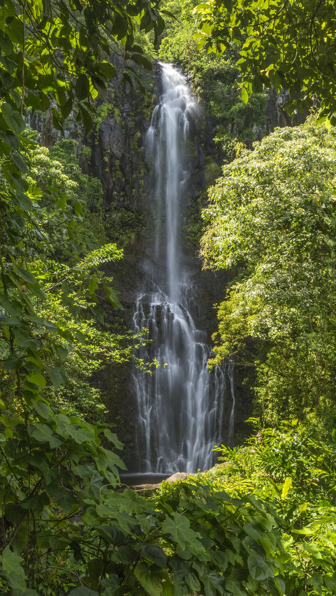 View Hawaii waterfall by Nick Blackhall