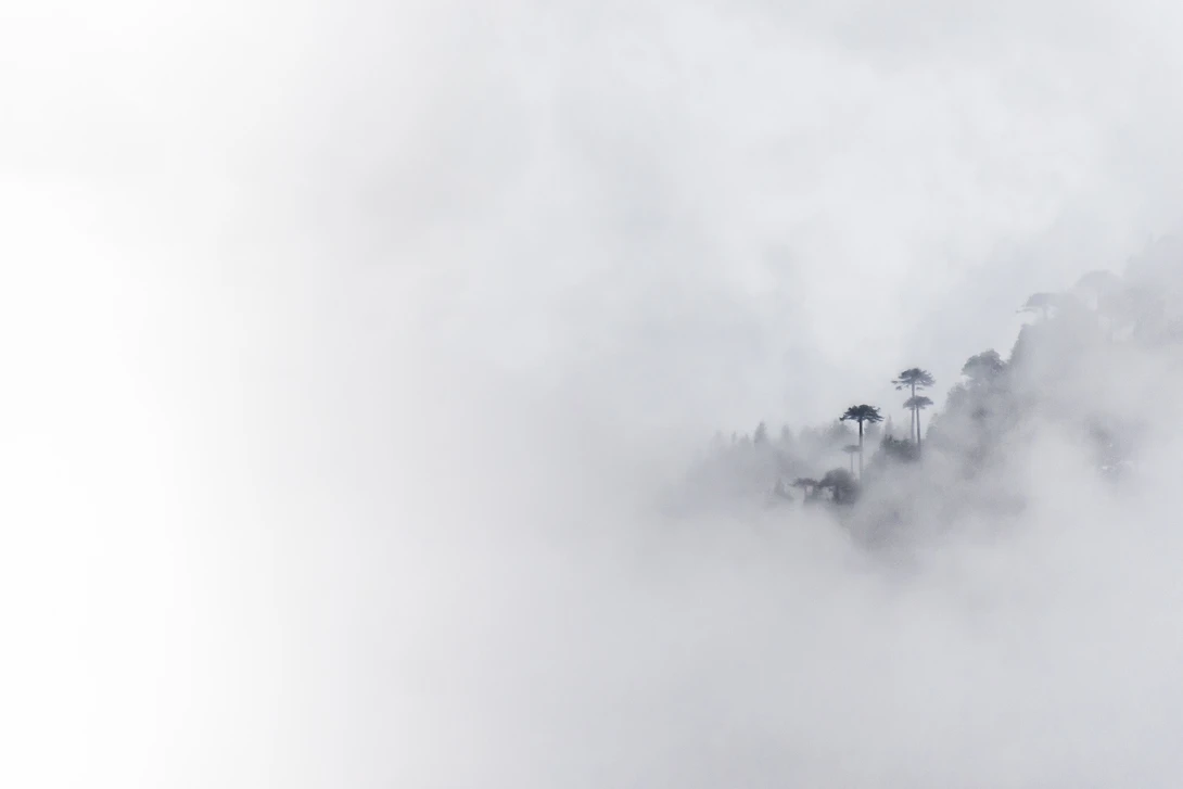 View Simplicity by Manuel Fuentes