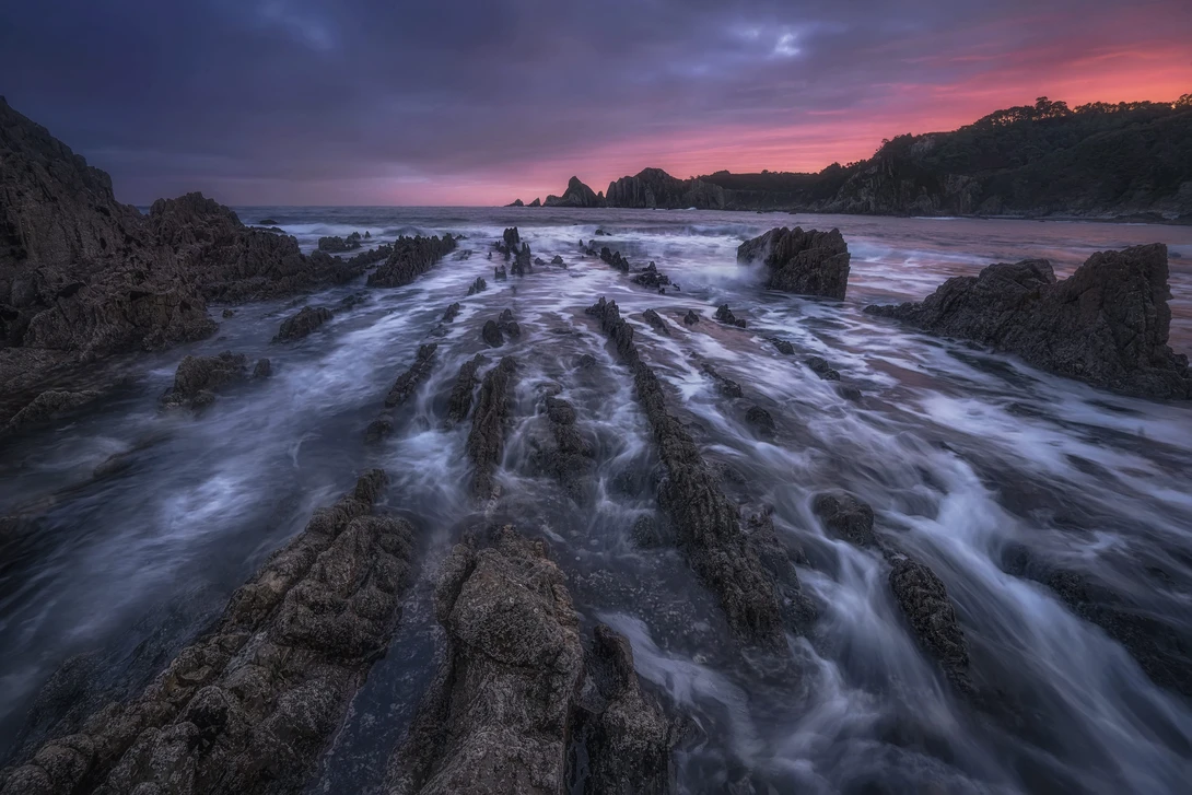 View Primal Awakening by Ricardo Franco