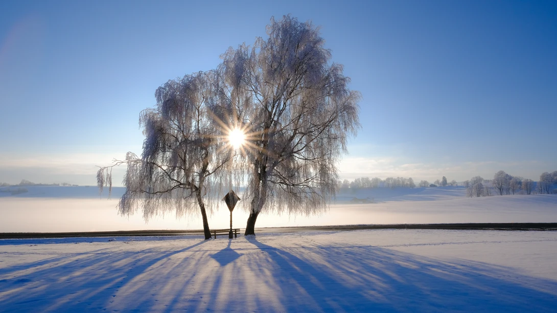 View Winter sun by Martin Weiss