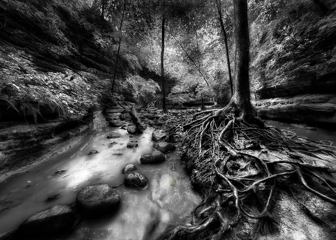 View eebbe846dfd3ba9f21579b43f0582c64.jpg by Robert Pommer
