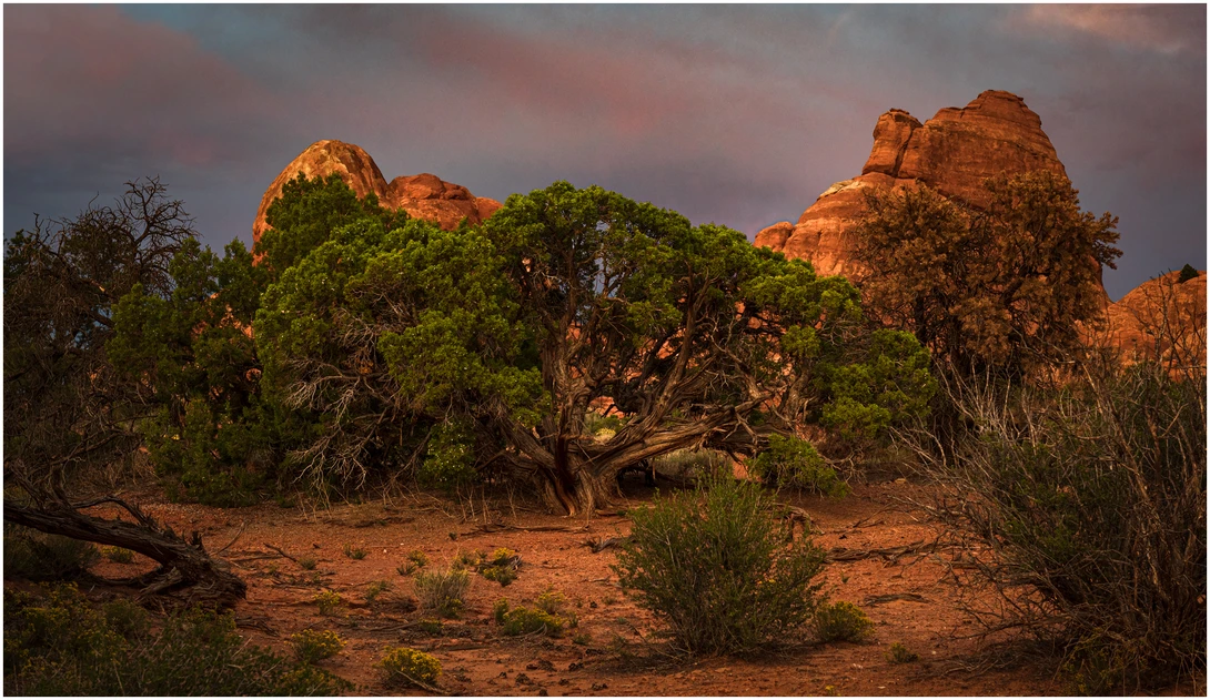 View Evening 2 - Arches N.P. by Jim B