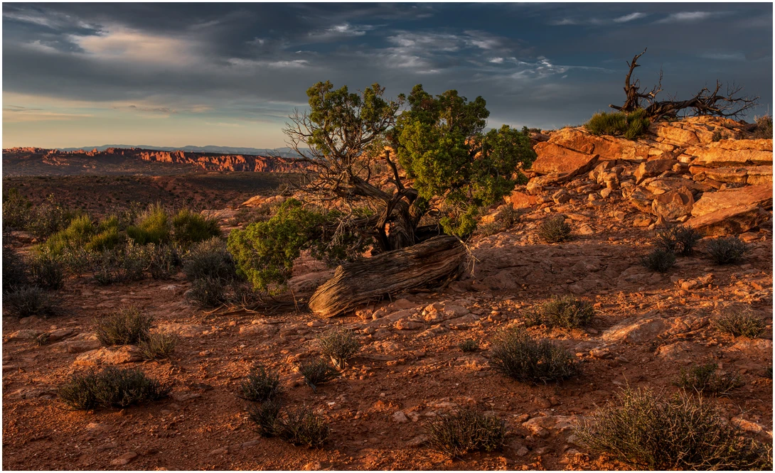 View Evening 1 - Arches N.P. by Jim B