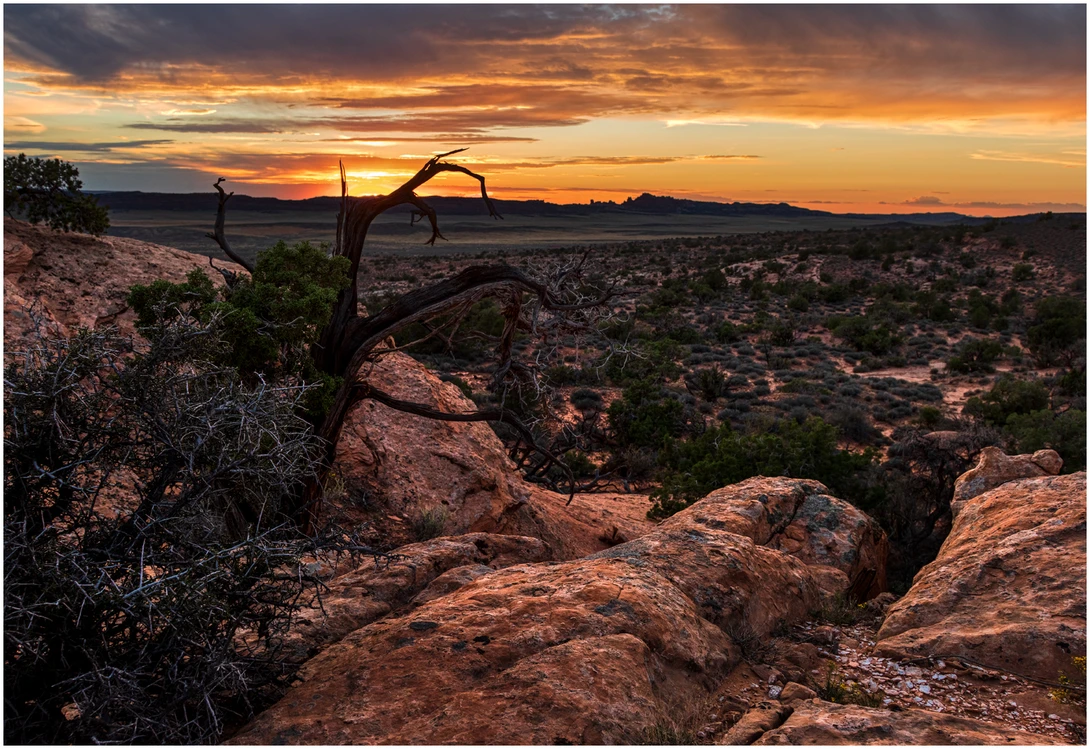 View Evening 3 - Arches N.P. by Jim B