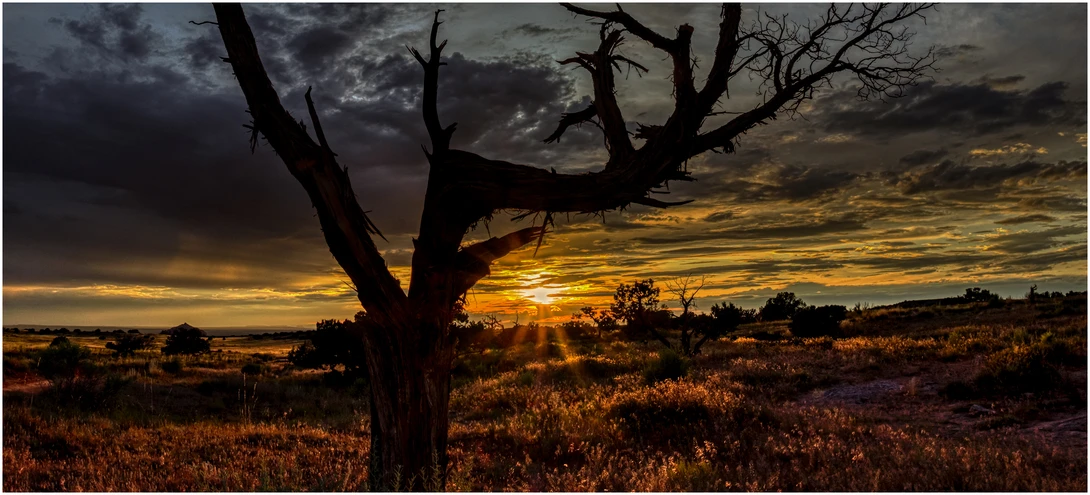 View Summer Smoke EFX by Jim B