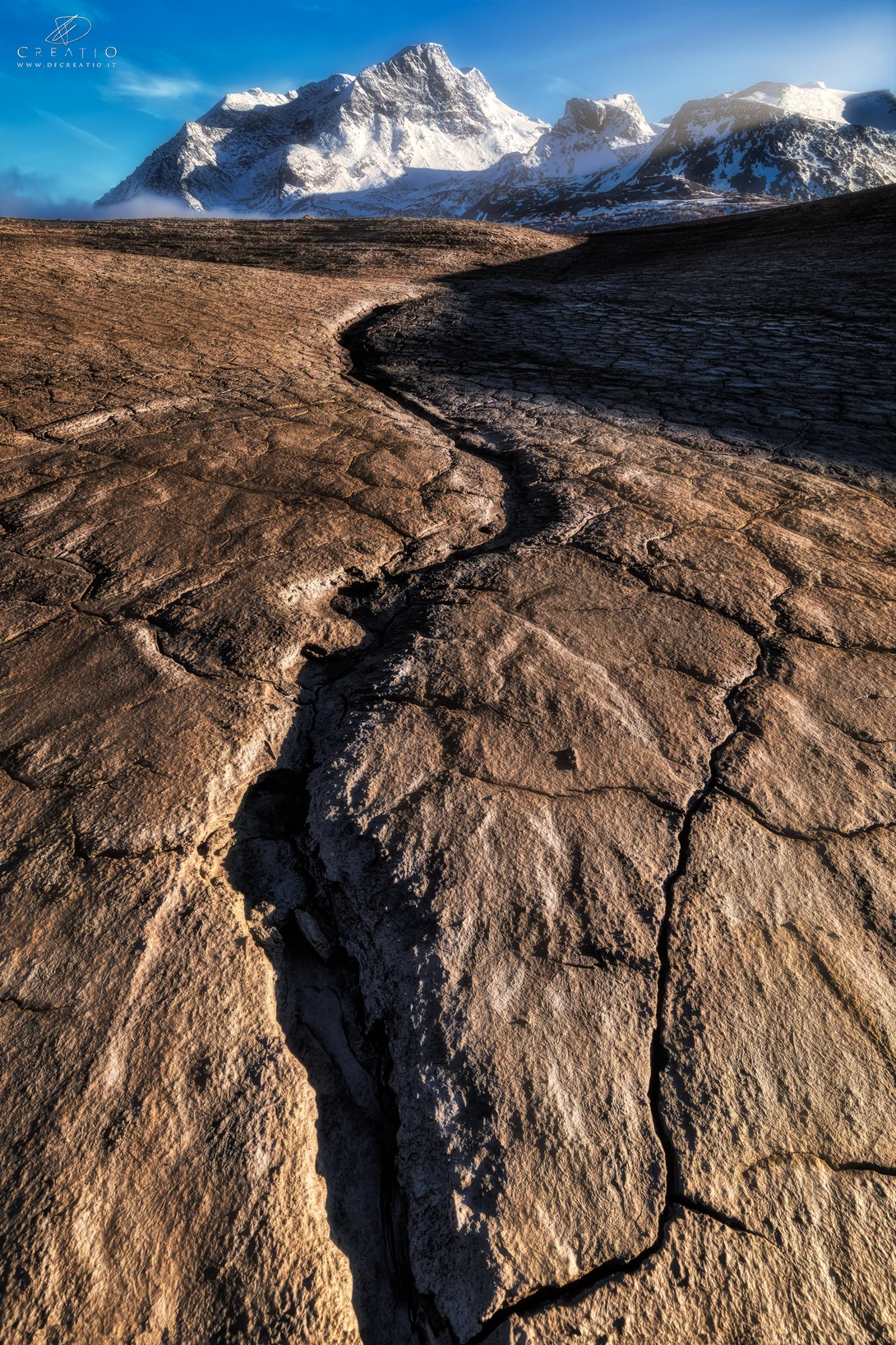 View The kingdom of mud II by Duilio Fiorille