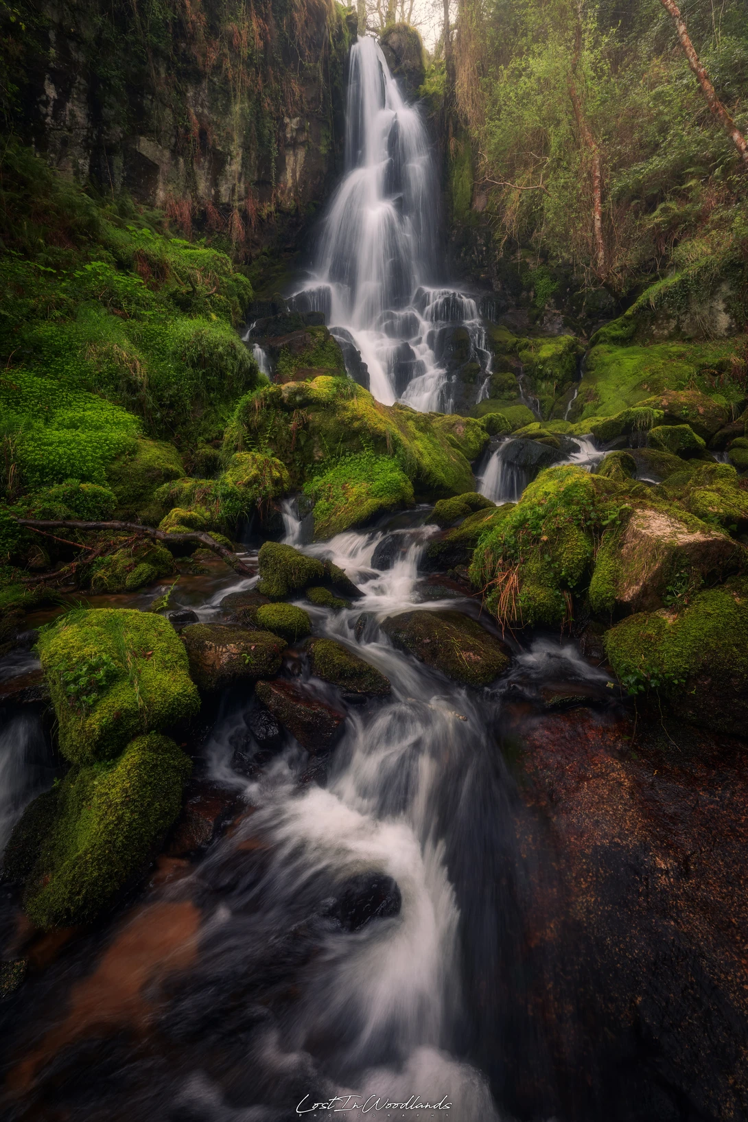View Source of Light and Water by Álvaro Lamas