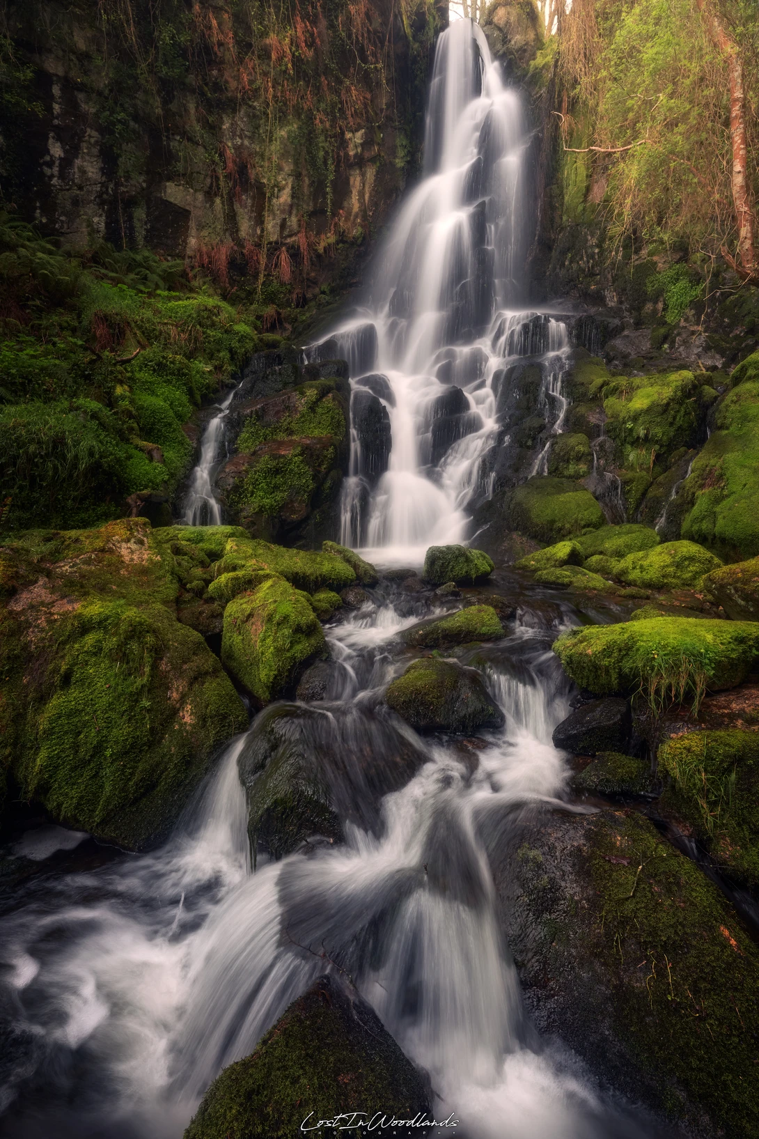 View A Thousandfold little Waterfalls by Álvaro Lamas