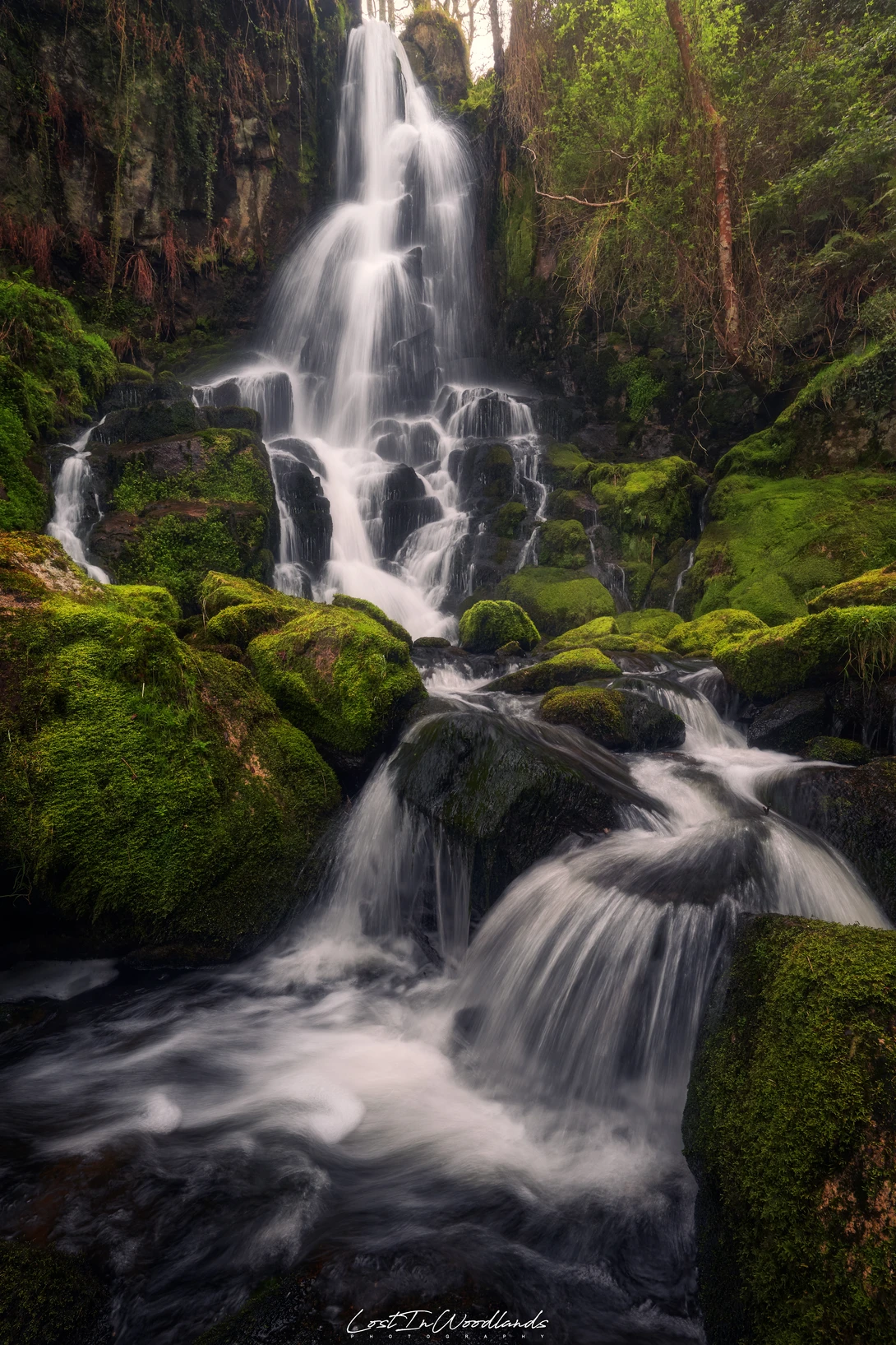 View Pirouettes of the River’s Dance by Álvaro Lamas