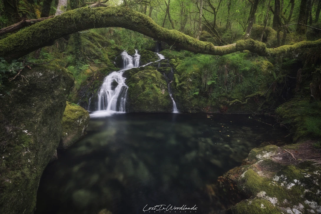 View Light in the Depths. by Álvaro Lamas