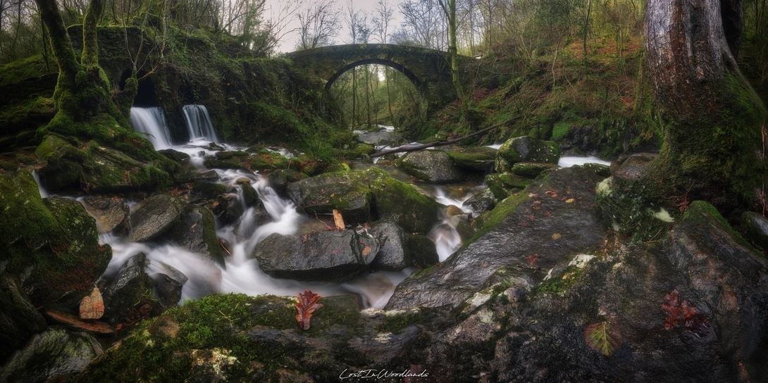 View d26bddfee9058875be5becff108260b3.jpg by Álvaro Lamas