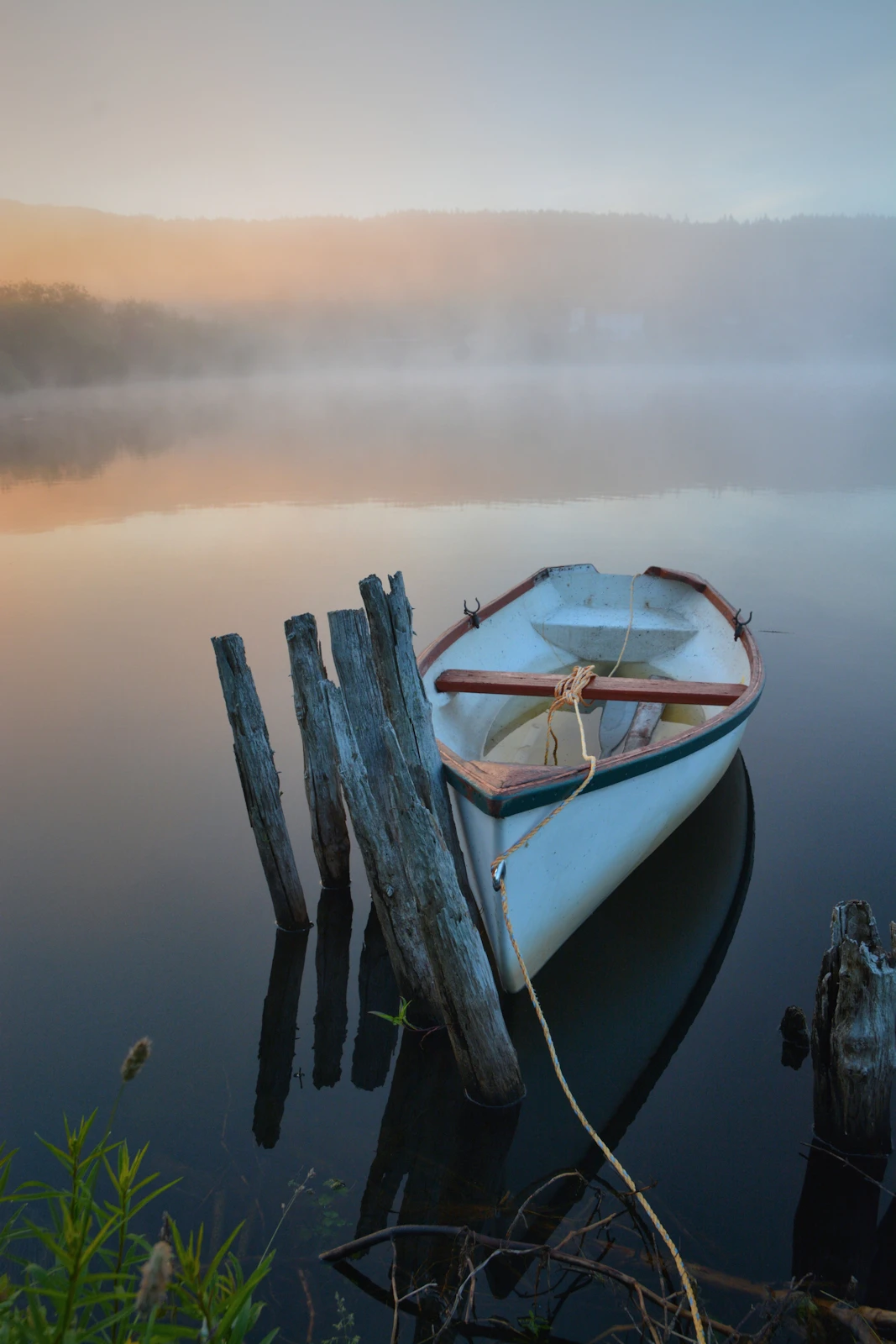View Breaking Dawn by David Brophy