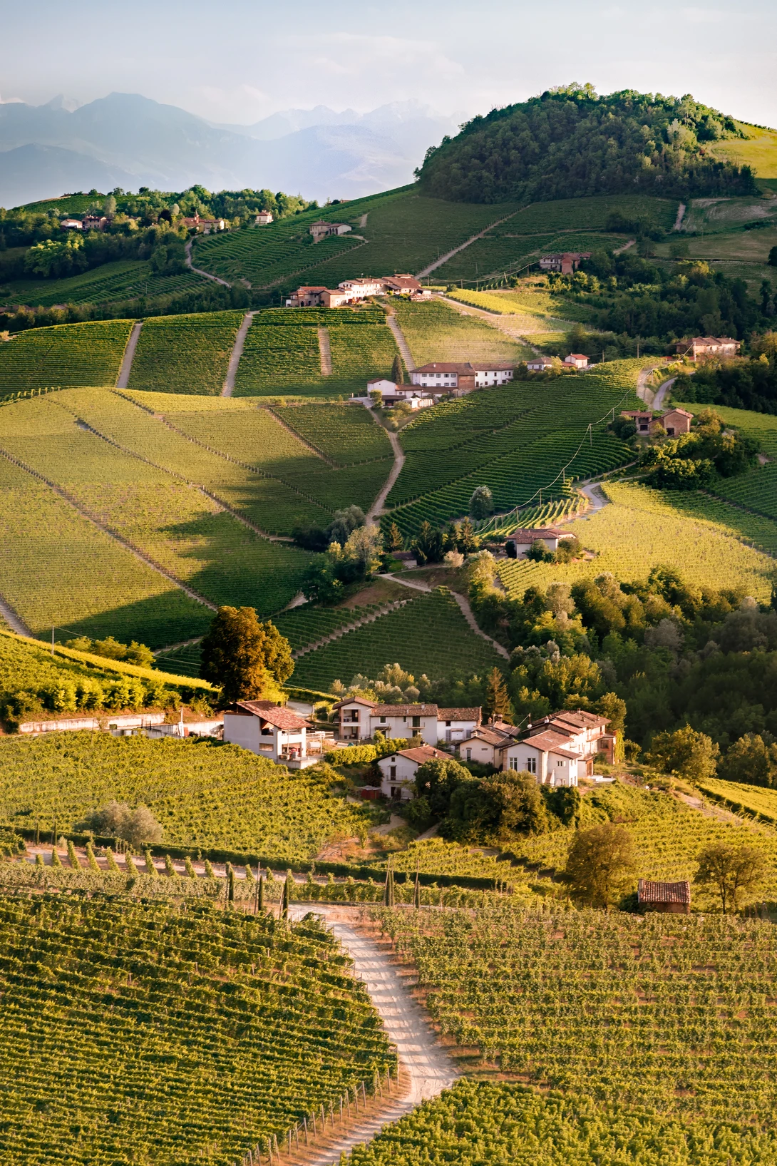 View Langhe by Talha Najeeb