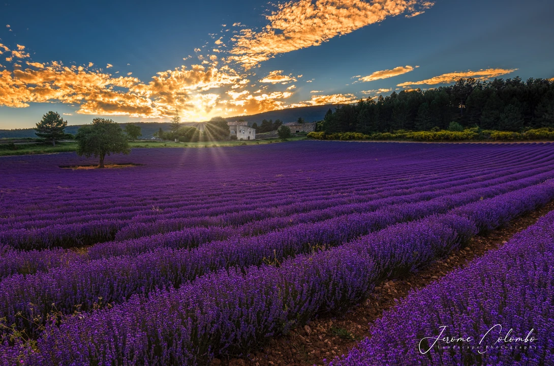 View Aurel, Vaucluse, France by Jerome Colombo
