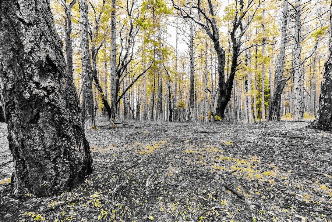 View f25edab0cb70f4adbe79992d0d143bde.jpg by Ray Sheffer