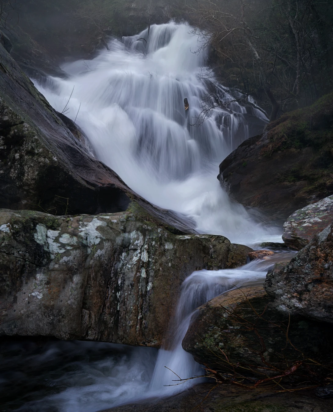 View The Beast by Borja Rial Pereira