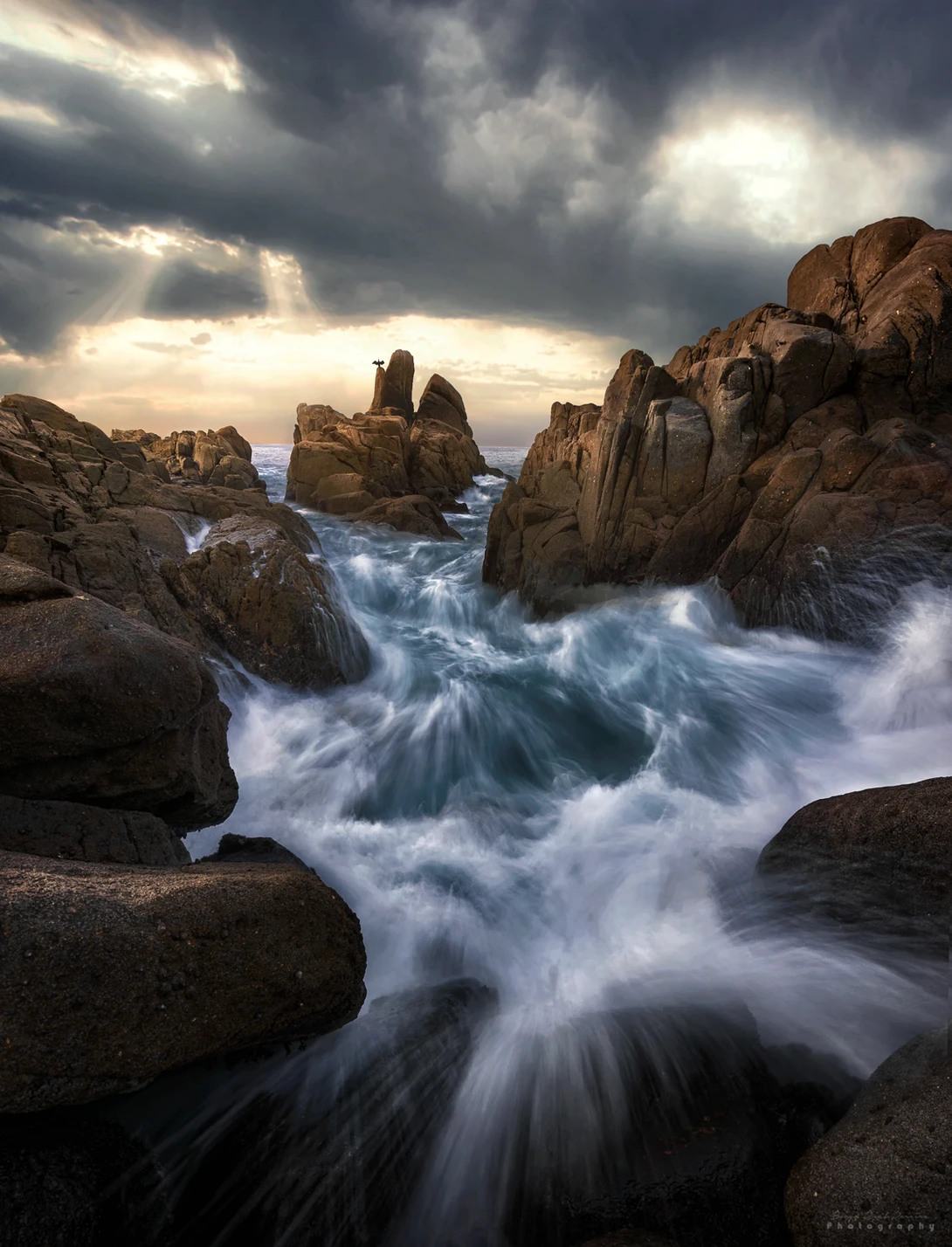 View The Memory Remains by Borja Rial Pereira