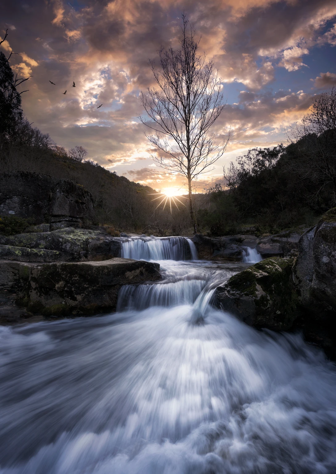 View Enjoy the moment by Borja Rial Pereira