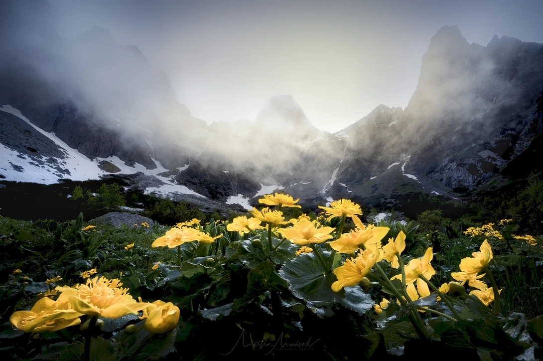 View Flowers under the Mountain by Martin Morávek