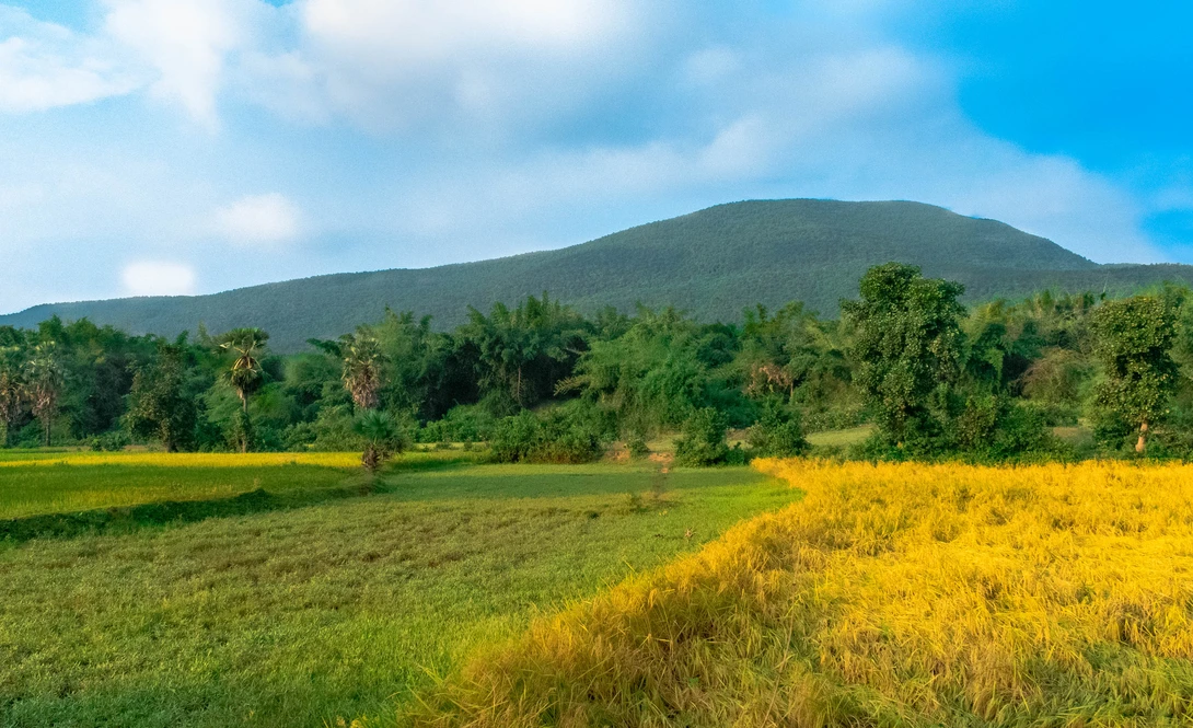 View Colours by Ramya Roy