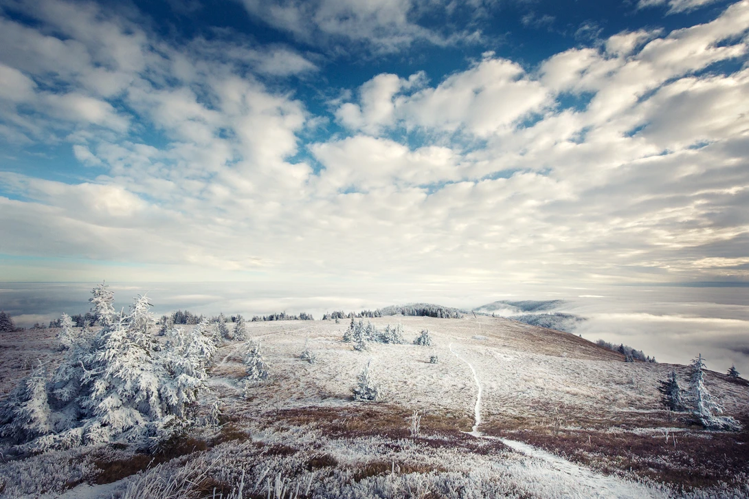 View 258b1bdd9a55d73a9bcb87d99a37d656.jpg by Peter David