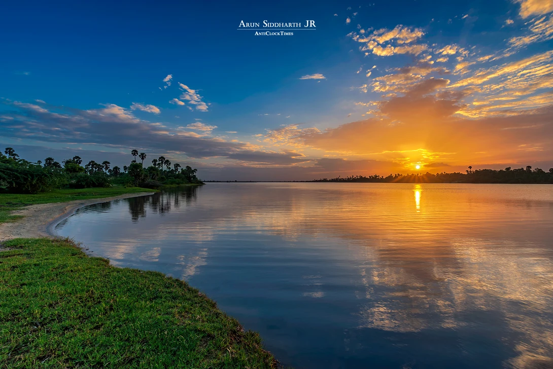 View Faithful Nature by Arun Siddharth