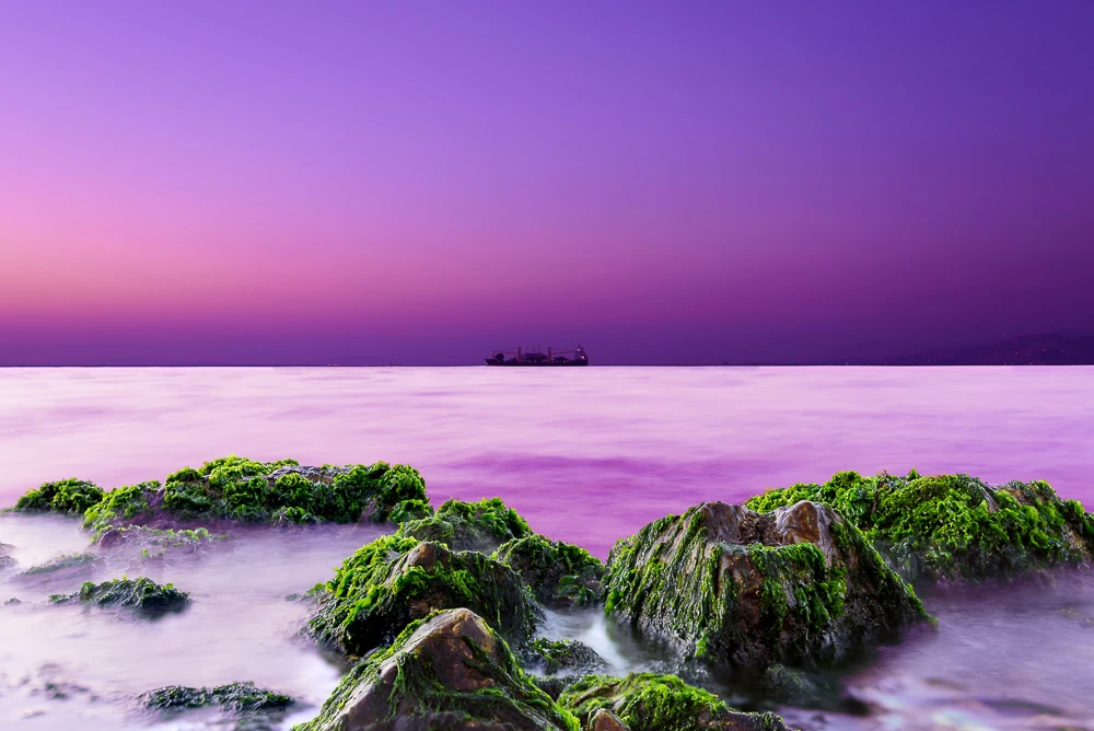 View A Surreal Voyage by Ozden Gumus